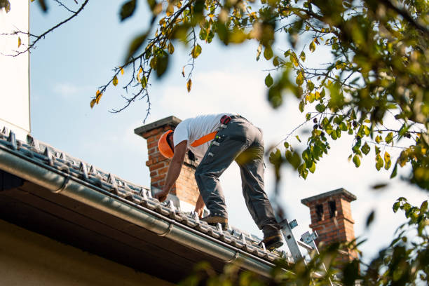 Best Roof Ventilation Installation  in Pineland, TX