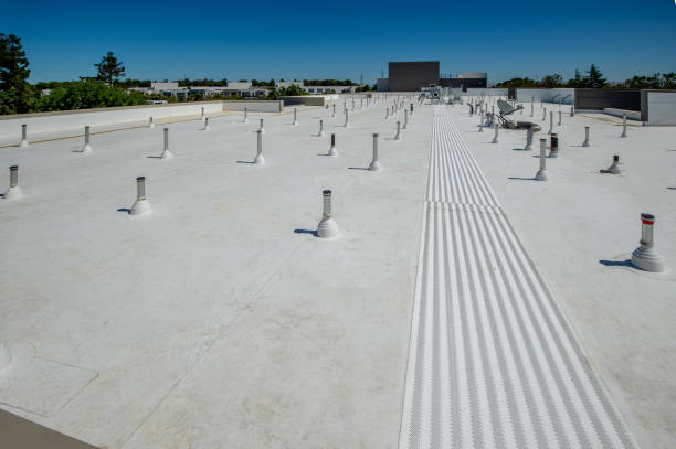 Best Rubber Roofing (EPDM, TPO)  in Pineland, TX